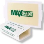 Pest Glue Trap by Catchmaster - 36 Boards Pre-Baited, Ready to Use Indoors. Rodent Mouse Rat Insect Sticky Adhesive Simple Easy Simple Non-Toxic - Made in the USA