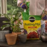 Miracle-Gro Potting Mix, 8 qt. (2 Pack) - Image 2