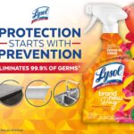 Lysol All-Purpose Cleaner, Sanitizing and Disinfecting Spray, To Clean and Deodorize, Mango & Hibiscus Scent, 32oz - Image 5